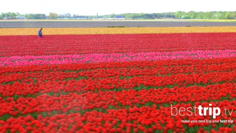 The World's Largest Spring Flower Garden - in Full Bloom on a Tulip-Time River Cruise!